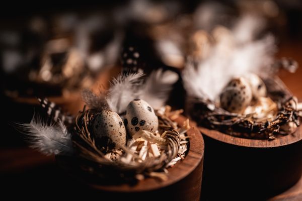 2026-02-04-essenz-popup-kitzbuehel-138-7