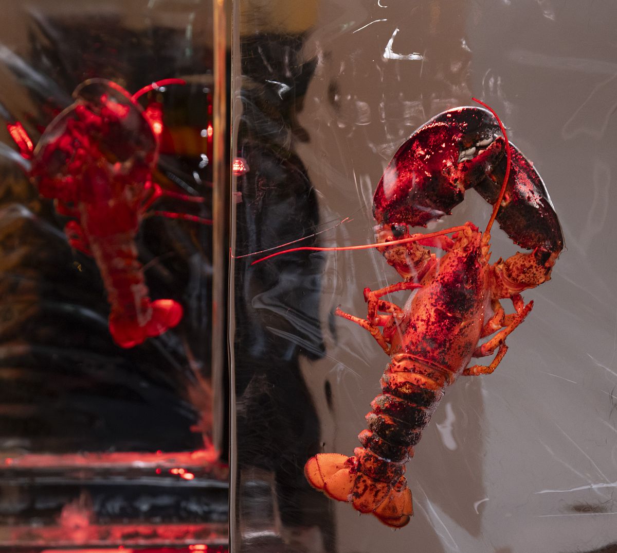 Dekoration Hummerparty in der Kitz Lounge Bar