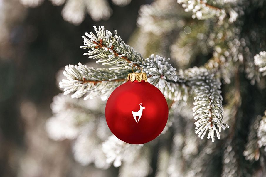 Rote Christbaumkugel mit Kitzhof Logo in weiß