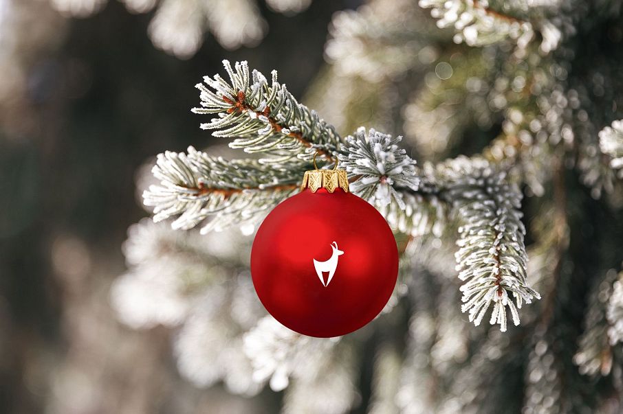 Rote Christbaumkugel mit Kitzhof Logo in weiß