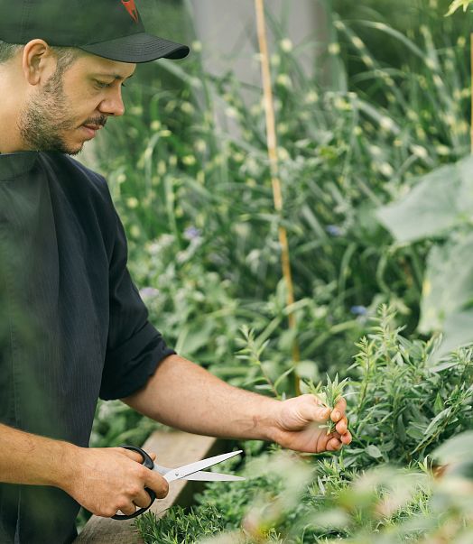 Der Küchenchef im hauseigenen Kräuterbeet