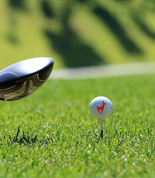 golf-pur-2025-21-3