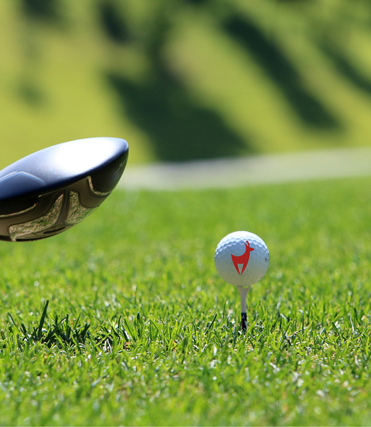 golf-pur-2025-23