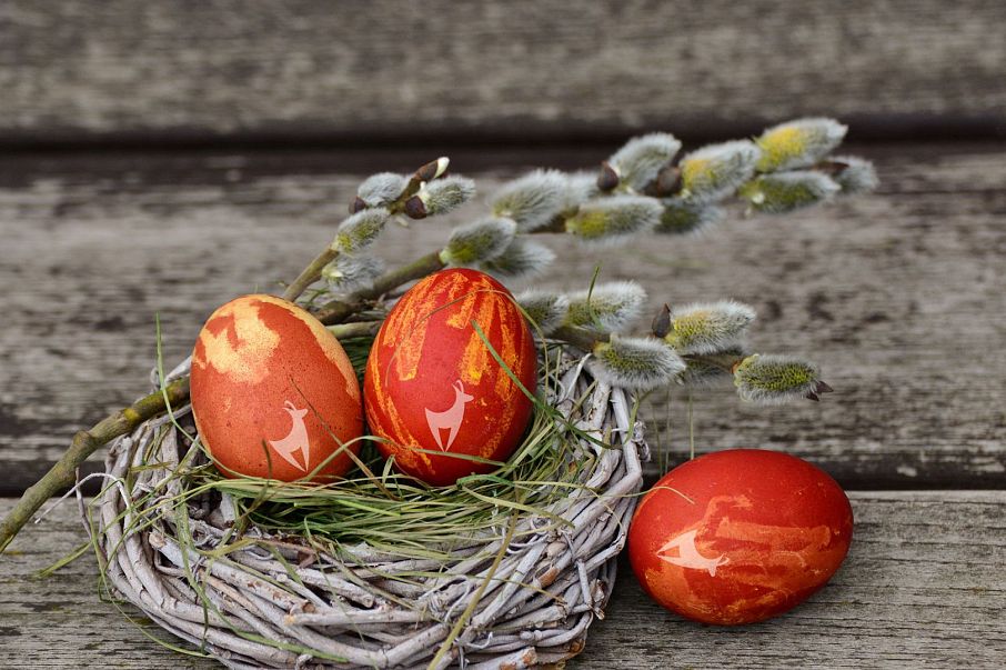 Drei rot gefärbte Ostereier liegen in einem dekorativen Nest aus Zweigen und Gras auf einem Holztisch. Ein Zweig mit Weidenkätzchen ist daneben platziert.